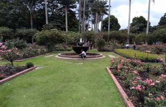 Bogotá Botanical Garden Image