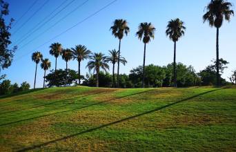 Alamillo Park Image