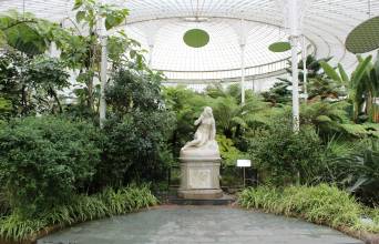 Glasgow Botanic Gardens Image