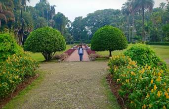 Bogor Botanical Gardens Image