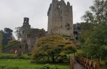 Blarney Castle Image