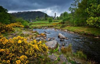 Wicklow Mountains National Park Image