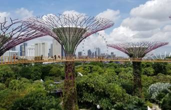 Gardens by the Bay Image