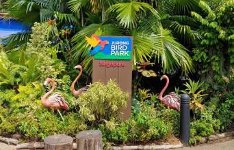 Jurong Bird Park Image