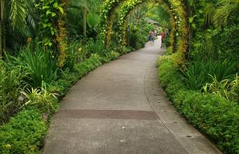Singapore Botanic Gardens Image