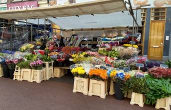 Albert Cuyp Market Image