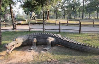 Islamabad Zoo Image