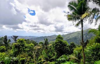 El Yunque National Forest Image
